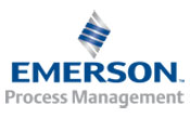 Emerson Process Management